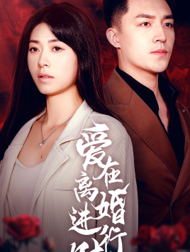 爱在离婚进行时短剧海报