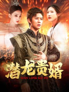潜龙贵婿海报