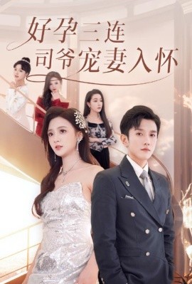 好孕三连司爷宠妻入怀海报