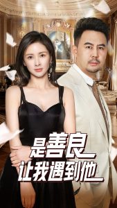 是善良让我遇到他海报