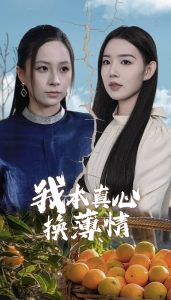 我本真心换薄情海报