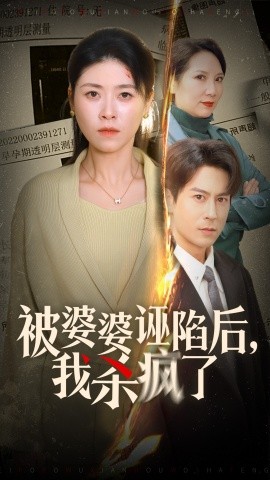 被婆婆诬陷后我杀疯了海报