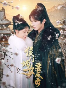 侯门嫡女要反击海报