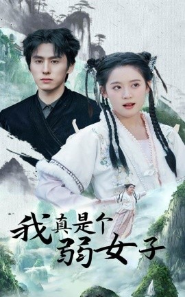 我真是个弱女子海报