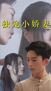 独宠小娇妻海报