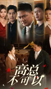高总不可以海报