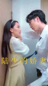 陆少的娇妻海报