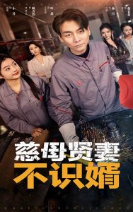 慈母贤妻不识婿海报