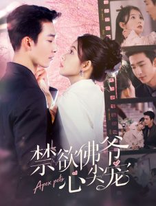 禁欲佛爷心尖宠海报