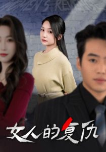 女人的复仇海报