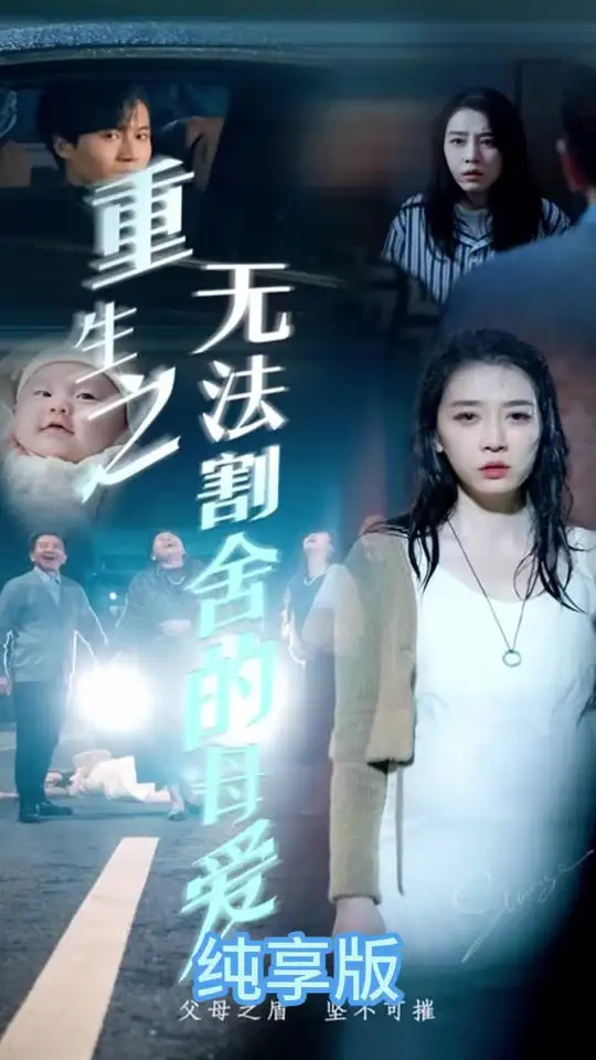 重生之无法割舍的母爱海报