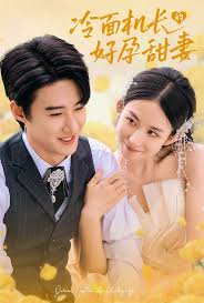 冷面机长的好孕甜妻海报