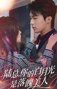 陆总你的白月光是落魄美人海报