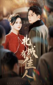北城有佳人海报