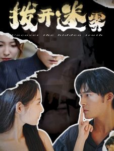 拨开迷雾海报