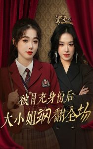 被冒充身份后大小姐飒翻全场海报