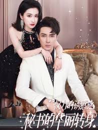 权利的诱惑之秘书的华丽转身海报