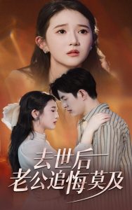 去世后老公追悔莫及海报