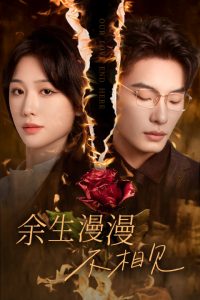 余生漫漫不相见海报