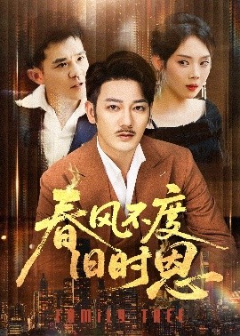 春风不度旧时恩海报