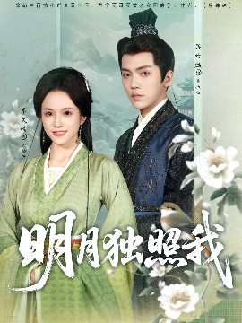 明月独照我海报