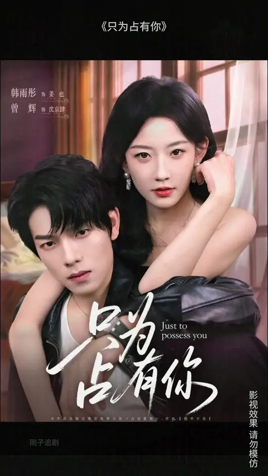 只为占有你海报
