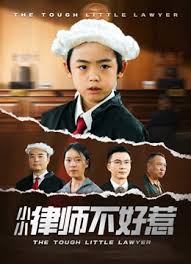 律师不好惹海报