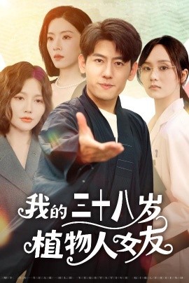 我的三十八岁植物人女友海报
