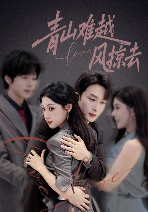 青山难越风掠去海报