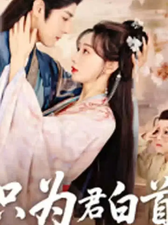 只为君白首海报