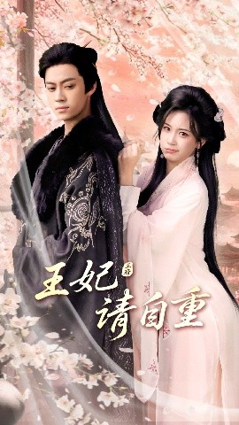 王妃请自重海报