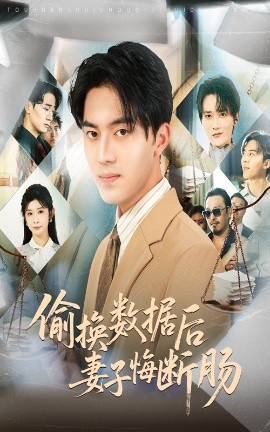 偷换数据后妻子悔断肠海报