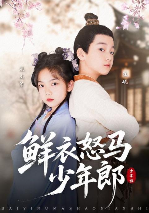 鲜衣怒马少年郎海报