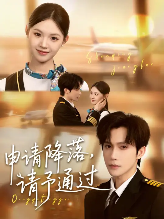 申请降落请予通过海报