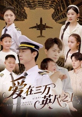 爱在三万英尺之上海报