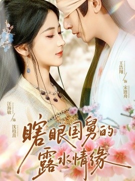 瞎眼国舅的露水情缘海报