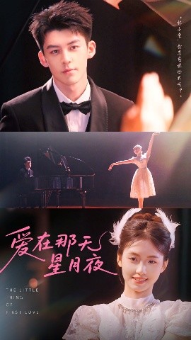 爱在那天星月夜海报