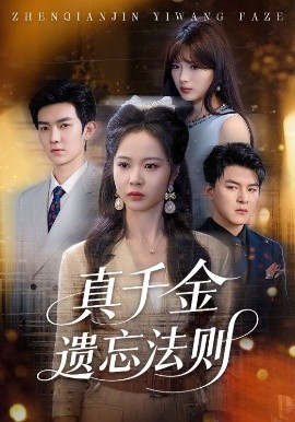 真千金遗忘法则海报