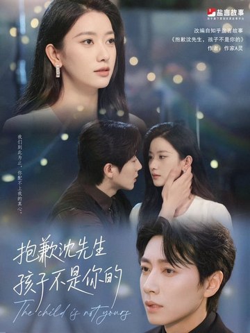 沈先生我们复合好不好海报