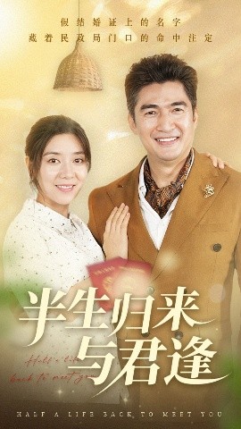 半生归来与君逢海报