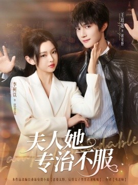 夫人她专治不服海报