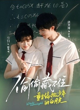 偷偷藏不住重生偏执少年的白月光海报