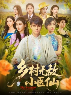 乡村无敌小医仙海报
