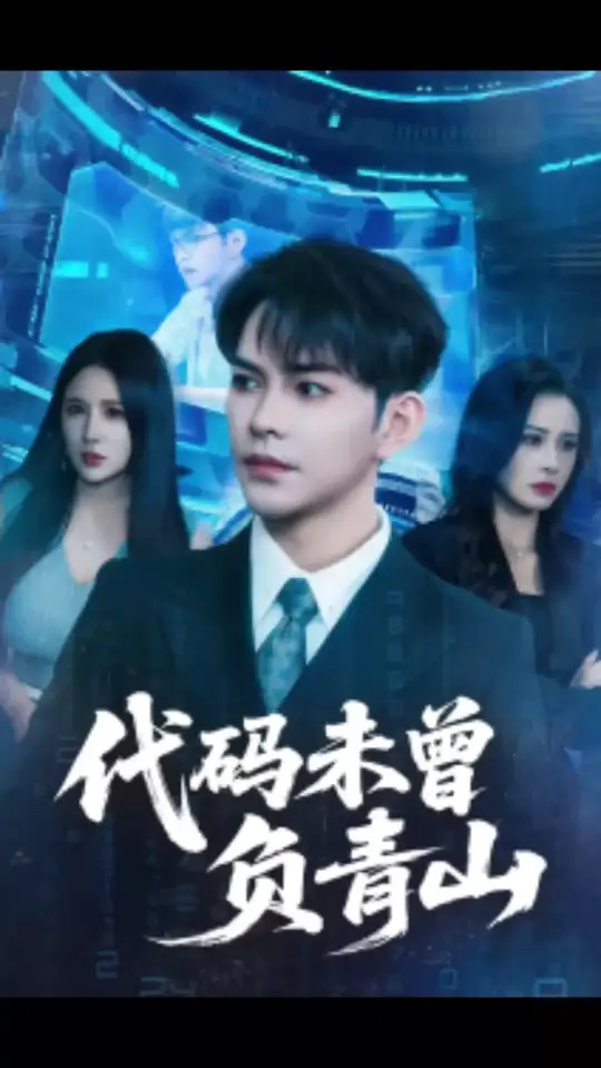 代码未曾负青山海报