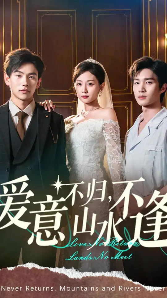 爱意不归山水不逢海报