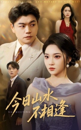 今日山水不相逢海报