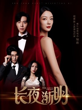 长夜渐明海报