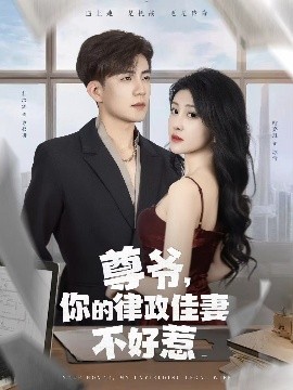 尊爷，你的律政娇妻不好惹海报