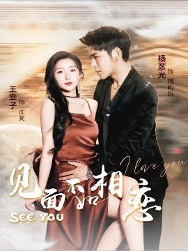 见面不如相恋海报