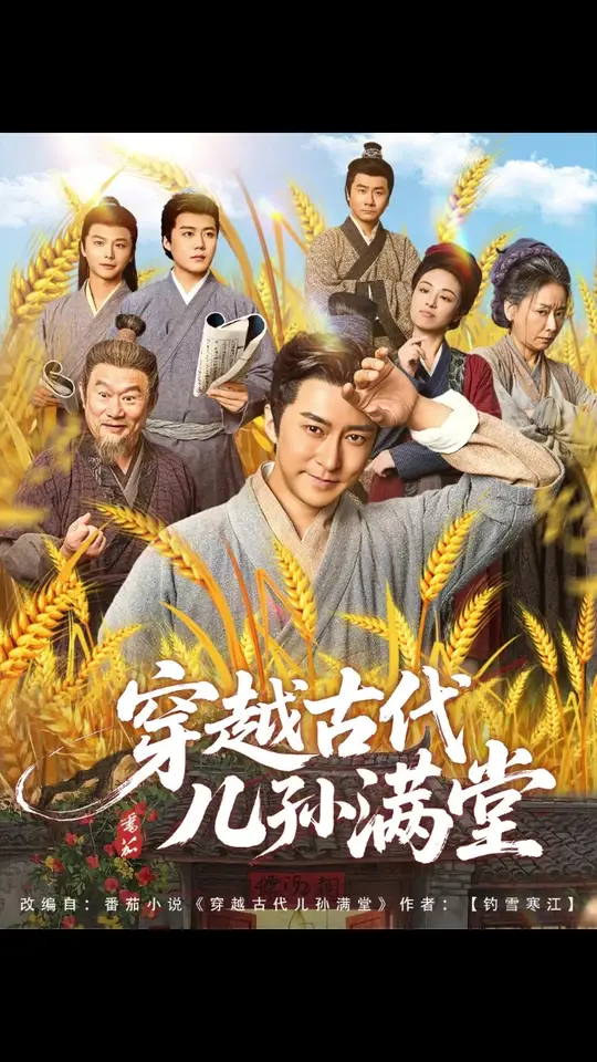 穿越古代儿孙满堂海报